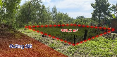 Đất nền chính chủ 488 m2, vị trí vàng gần sân bay Long Thành