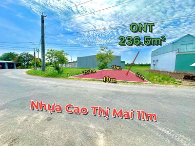 Đất thổ cư mặt tiền nhựa Cao Thị Mai, Tân Trụ