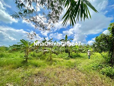 BÁN ĐẤT CHÍNH CHỦ VIEW HỒ TRỊ AN TẠI LA NGÀ - ĐỊNH QUÁN - ĐỒNG NAI