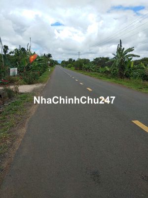 Chính chủ bán đất mặt tiền quốc lộ 29