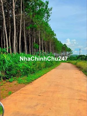 Chính chủ cần bán Gần 2000m2 chỉ 1ty350 tại Nam Hà Lâm Hà ven Đà Lạt