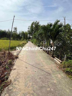 ✅ 192m2 Đất Chính Chủ Cần Đước Long An - MT đường nhỏ ( 6,1x31m) Có🌹🌹🌹