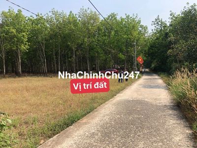 chính chủ cắt lỗ 50% lô đất bình long dân đông kính 250 triệu