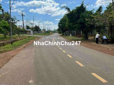 Chủ cần bán nhanh vườn điều đã cho thu hoạch giá 195tr ,sổsẵn