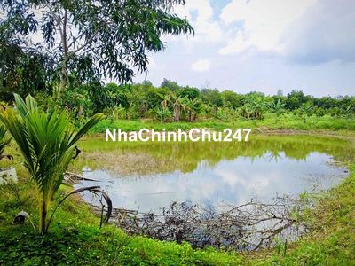 BÁN ĐẤT CHÍNH CHỦ CÓ 2 AO CÁ LỚN VIEW HỒ TRỊ AN TẠI LA NGÀ