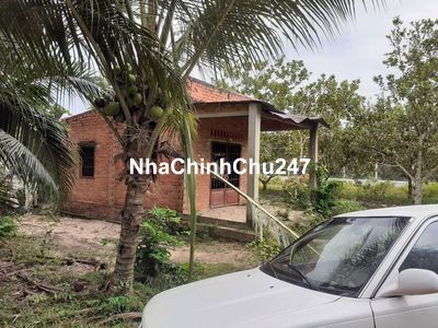 240m2 thô cư có nhà như hình, view sông Vàm Cỏ Tây Ninh