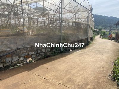 Chính chủ bán nhà đất: 71x35m, DT: 2486.2m2, kèm nhà Kính