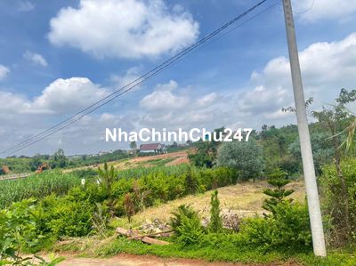 Chính chủ bán hơn 500m2 thổ cư 100m ven Đà Lạt giá ngộp ngân hàng