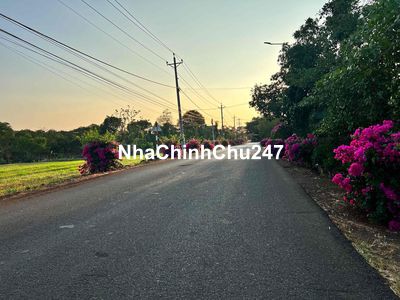 chính chủ gửi bán lô đất giá FO chưa qua đầu tư Diện tích 5x25 (125m2)