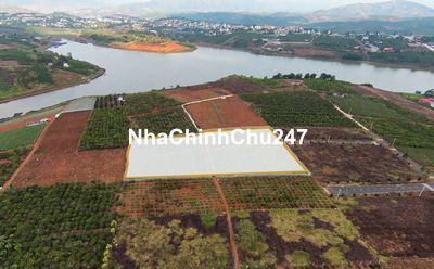 Đất view hồ Tây Di Linh 7439m2