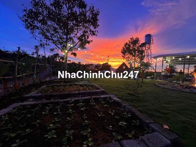 Chủ nhượng lại homestay tâm huyết ở Lộc Tân - View 360 độ