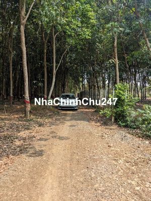 Chủ thật sự khó khăn, thiện chí bán 14.394m2 đất, giá có thể TL