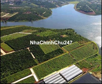 Đất 1hec2 view hồ Tây Di Linh 300m2 thổ cư