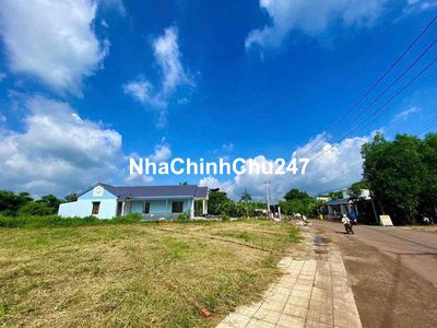 MẶT NHỰA CHÍNH 113MV THỔ CƯ XÃ CÂY GÁO TRẢNG BOM