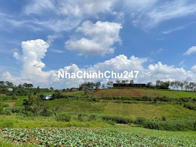 CC sắp định cư nước ngoài bán lỗ 30 - 40% mãnh đất view suối.