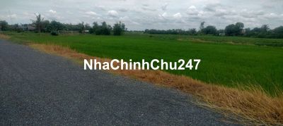 Chủ cần bán lô đất vườn 3000m2 xã Tân Lân