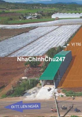 Vợ Chủ Đánh Bài Nợ Anh Em Xã Hội nên gửi bán lỗ nền đất thổ Đức Trọng