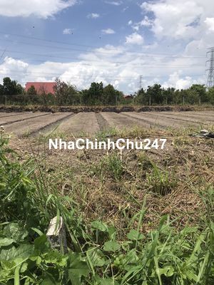 Chính chủ bán gấp 1582m2 đất CLN giá 850tr còn thương lượng