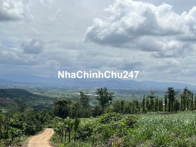 ĐẤT NGHỈ DƯỠNG VEN ĐÀ LẠT, TẦM NHÌN XA VÀI CHỤC CÂY SỐ