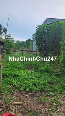 Chủ thua bài, bán gấp 310m2 gần UBND Thạnh Đức 460Triệu