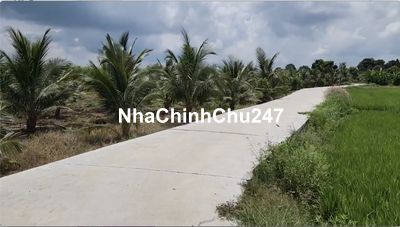 Bán đất chính chủ, 1tr3/m2, huyện Long Tân, Đất Đỏ, BRVT