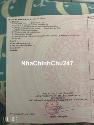 Chủ ngộp bán lô đất Tân Phú 250 triệu