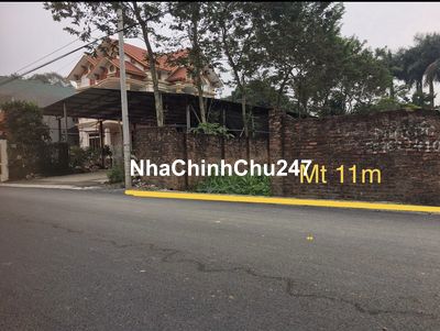 Đất Mặt Đường - Lô Góc 485 m2 Chợ Mộc - Minh Quang - Ba Vì - HN