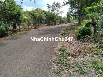 Chính chủ bán đất 280m mặt tiền đường nhựa, nhà có sẵn, trồng gỗ quý