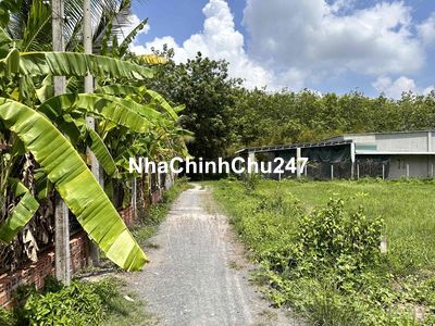 Tôi chính chủ cần bán lô đất full thổ cư 360,8 m2