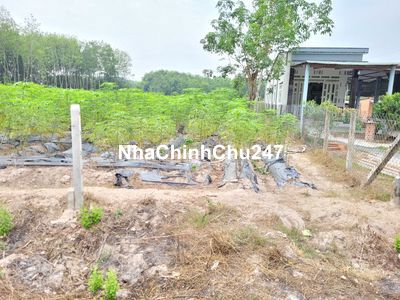 4667m2 mặt tiền đường nhựa. Gần KCN Hiệp Thạnh. 2,6 tỷ