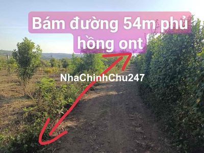 kẹt tiền cần bán 1.2hecta đất quy hoạch thổ cư mặt tiền 50n