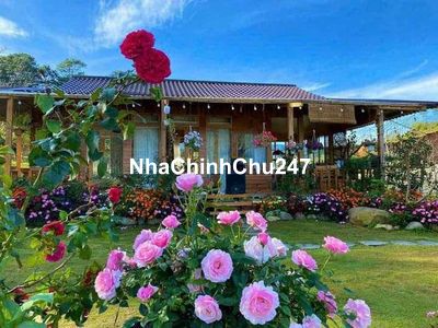 Bán 300m2 đất full thổ cư mặt đường Vân Nội , Đông Anh , Hà Nội