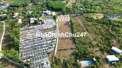 8100m2 đất trồng cây lâu năm mặt tiền đường nhựa gần mẹ ken farm