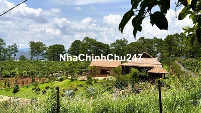 Nhượng 9.900m2 đất nghỉ dưỡng ven Đà Lạt- TT Nam Ban, giáp đồi thông