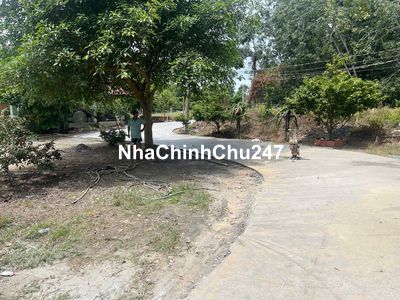 Chính chủ bán lô đất ngay trung tâm Gò Dầu TN 100m2 thổ giá 500 triệu