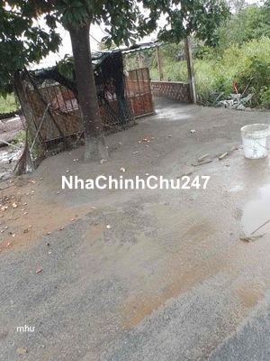 Đất mặt tiền Nguyễn Văn Thời. Bìnhchanh 450 triệu