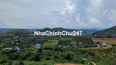 Đất chính chủ 557m2 Trung tâm thị trấn Nam Ban