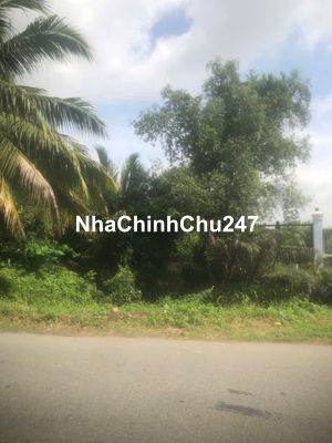 Bán Gấp 3217,7 m2 đất CLN mặt tiền Long Thuận giá 15tr/m2 TL chính chủ