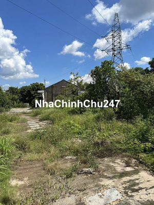 Chính chủ cần bán đất 1.467m² đã lên thổ cư ba trăm m² - 3,1 tỷ TL