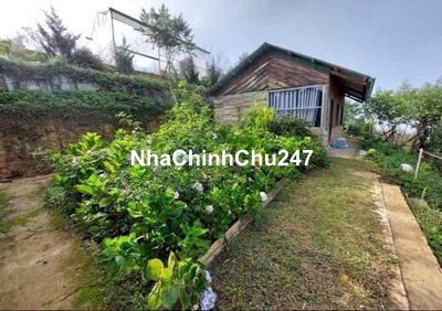 Chủ Nợ ngân hàng bán homestay có nhà sẵn thị trấn Lạc Dương có 200m2 ở