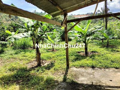 Mảnh đất diện tích Thổ cư 2600m . Mặt tiền đường 42m