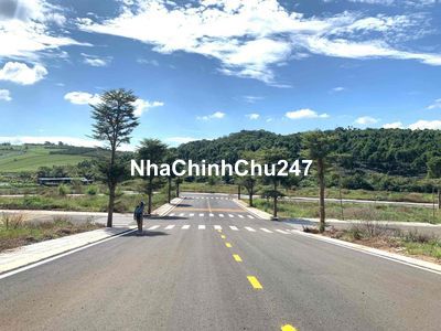 Xả lỗ hàng ngộp thổ cư có sổ view rừng thông 200m2 850tr