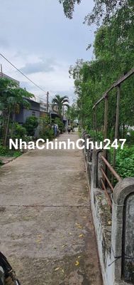 Đất nhà cũ an hóa