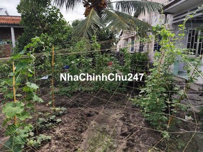 Đất thổ cư + nhà 200m, bán mét