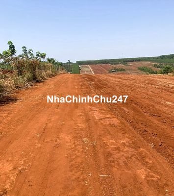 chính chủ  bán gấp 8 sào để trả ngân hàng giá 380 triệu, thương lượng