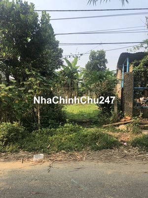 Đất chính chủ cần bán