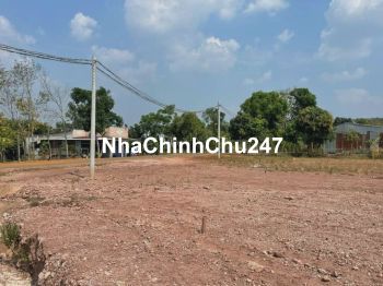 Bán đất Bình Dương 1000m2 giá chính chủ tặng kèm vườn sầu riêng