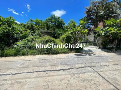 Bán đất chính chủ, Cạnh trường tiểu học