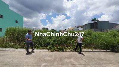 Chủ ngộp bán gấp lô đất 1 sẹc 824 Thị Trấn Đức Hòa diện tích 120m2 TL