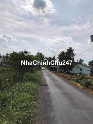 đất lúa chinh chủ cần bán nhanh